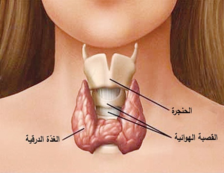 %D8%A7%D9%84%D8%BA%D8%AF%D8%A9-%D8%A7%D9%84%D8%AF%D8%B1%D9%82%D9%8A%D8%A9.jpg