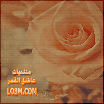 lo3m.com_1395537745_746.png