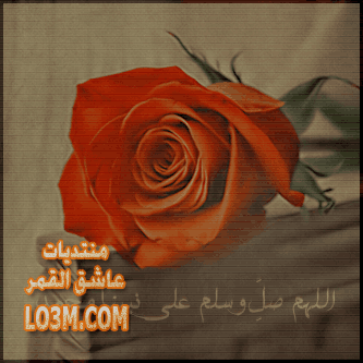 lo3m.com_1395537746_788.png