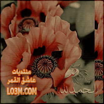 lo3m.com_1395537747_377.png