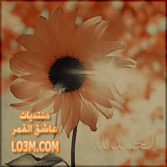 lo3m.com_1395537748_813.png