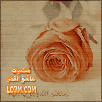 lo3m.com_1395537749_462.png