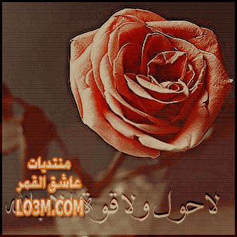 lo3m.com_1395537781_961.png