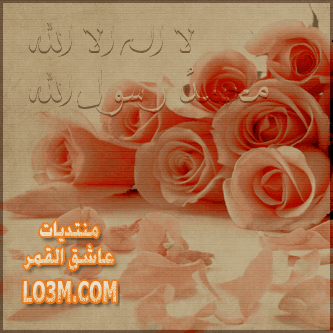 lo3m.com_1395537782_618.png